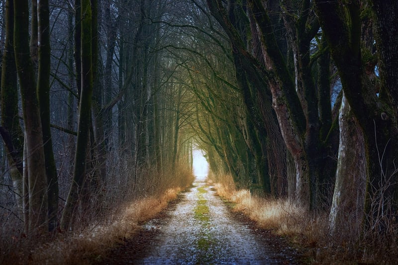Fairytale